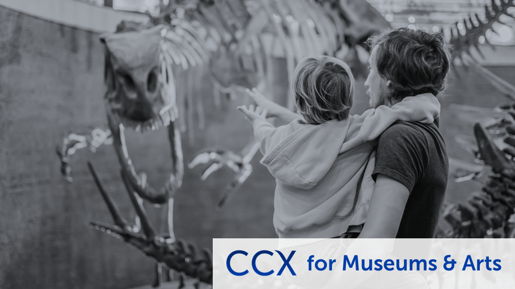 SWL - Continuous Customer Experience - CCX for Museums & Arts
